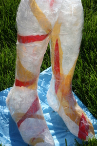 Close-up_of_ legs.JPG